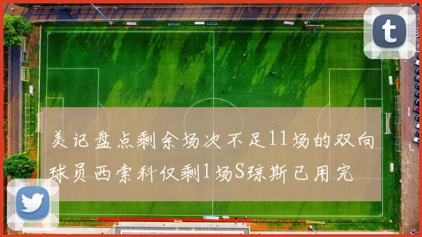美记盘点剩余场次不足11场的双向球员西索科仅剩1场S琼斯已用完