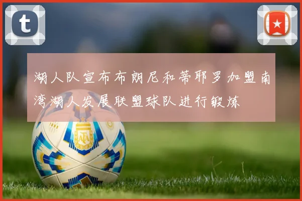 湖人队宣布布朗尼和蒂耶罗加盟南湾湖人发展联盟球队进行锻炼