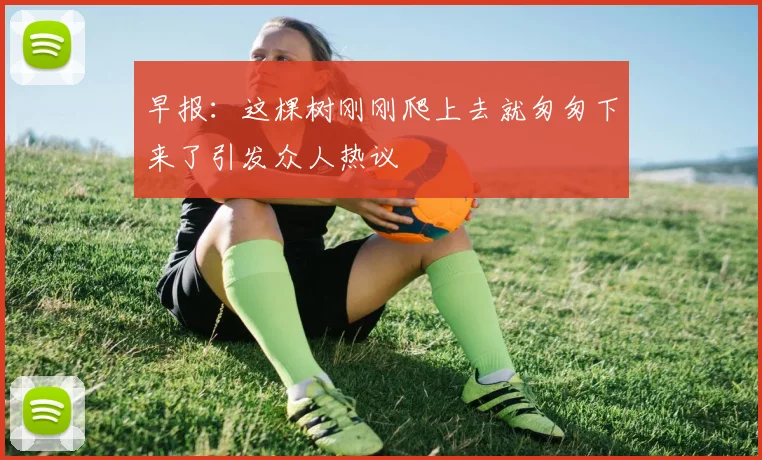 早报：这棵树刚刚爬上去就匆匆下来了引发众人热议