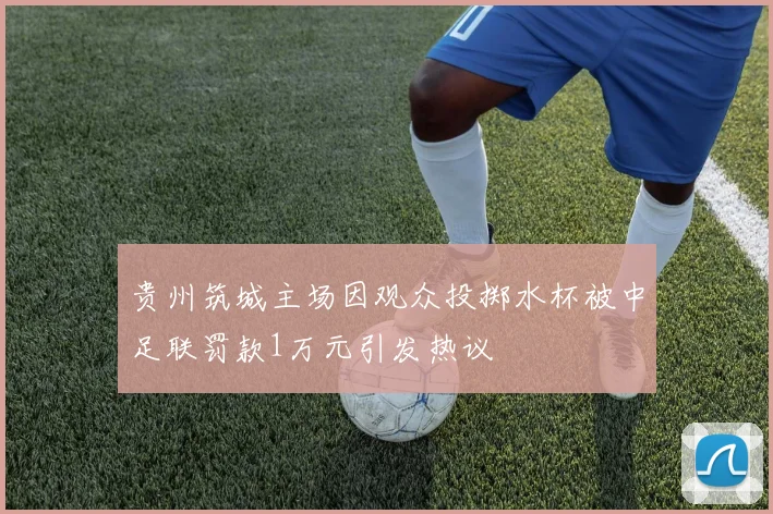 贵州筑城主场因观众投掷水杯被中足联罚款1万元引发热议